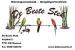 Dauwwedstrijd 2024